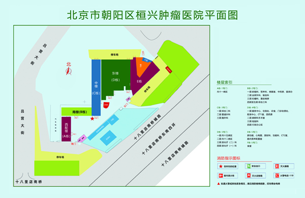 小鸡巴直接操北京市朝阳区桓兴肿瘤医院平面图